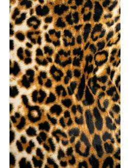 Leoparty moniväri (2 väriä)